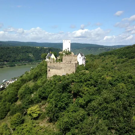 Otel Rheinhotel Wagner 2*