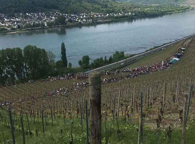 Rheinhotel Wagner Hotel