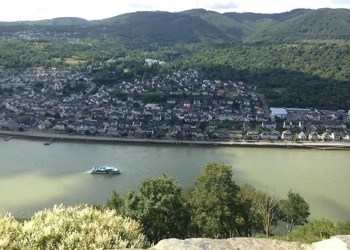 Hotel Rheinhotel Wagner